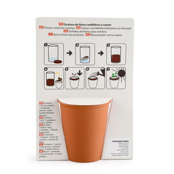 Radis et Capucine - Kit jardinage - Fleurs Mellifères - Bisous Fleuris - MEDIA_PACKAGING_VERSO